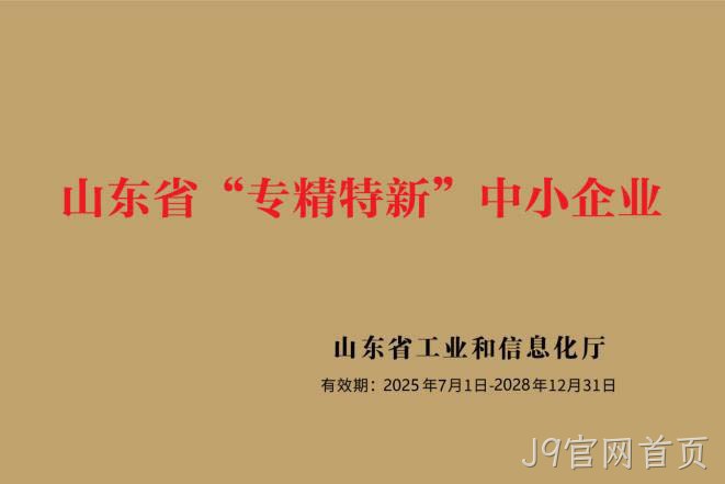 山东省专精特新中小企业.